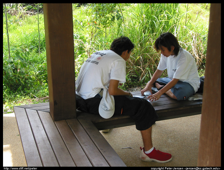 camp counselors playing cards