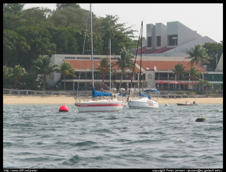 sailboats