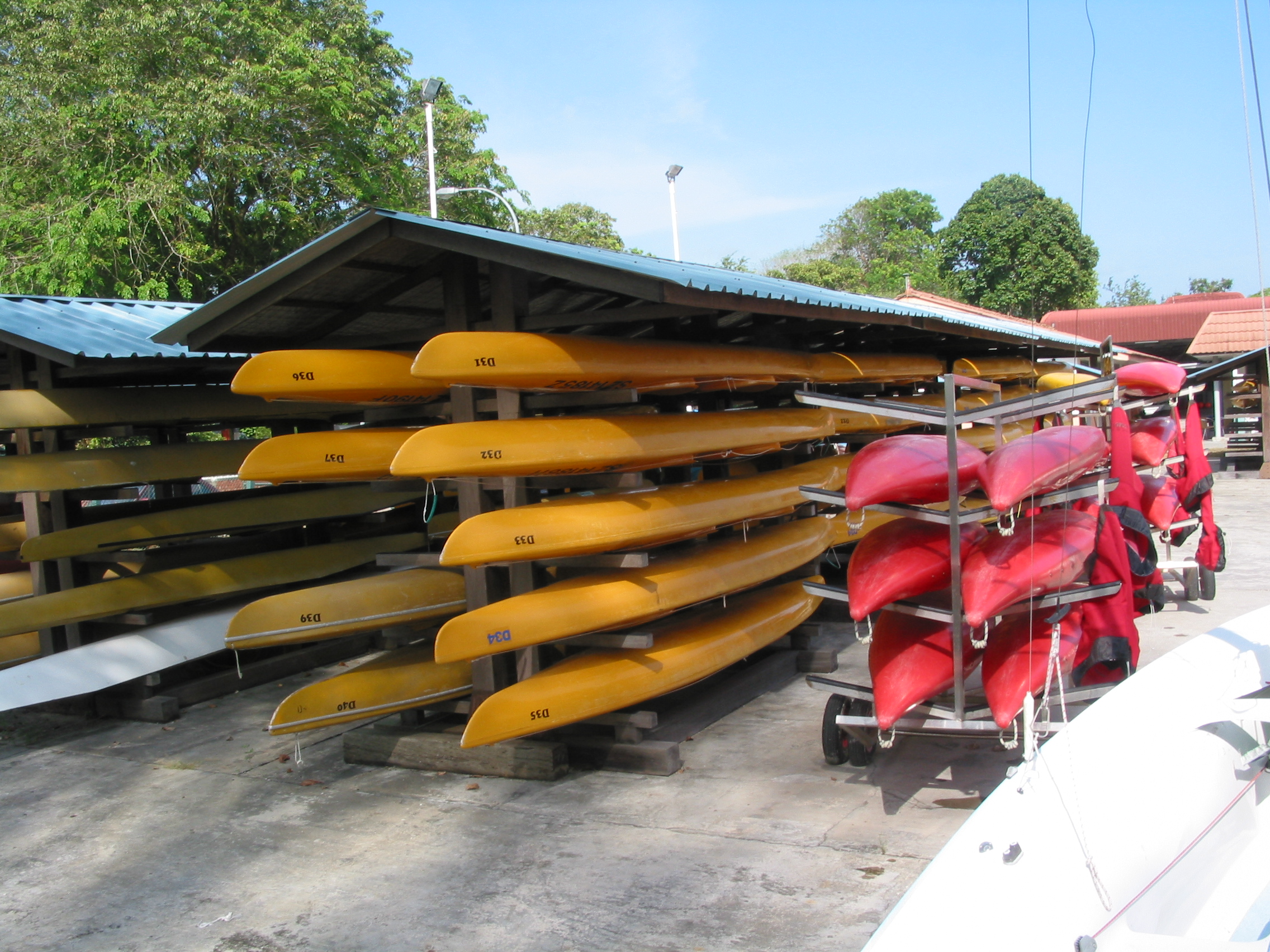 sea kayaks