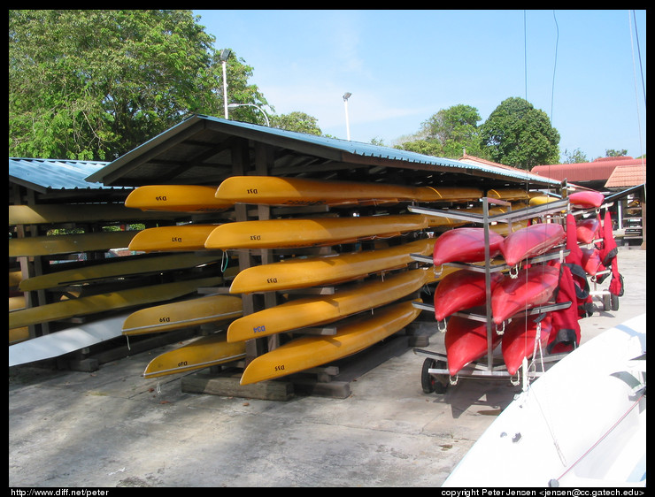 sea kayaks