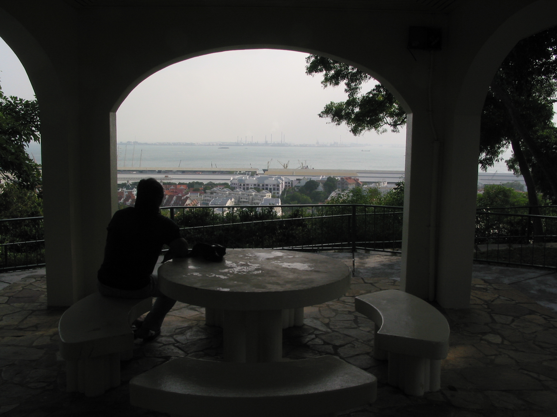 view