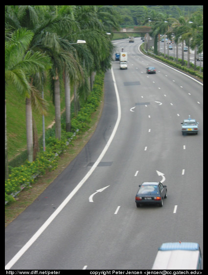 gotta love those road markings