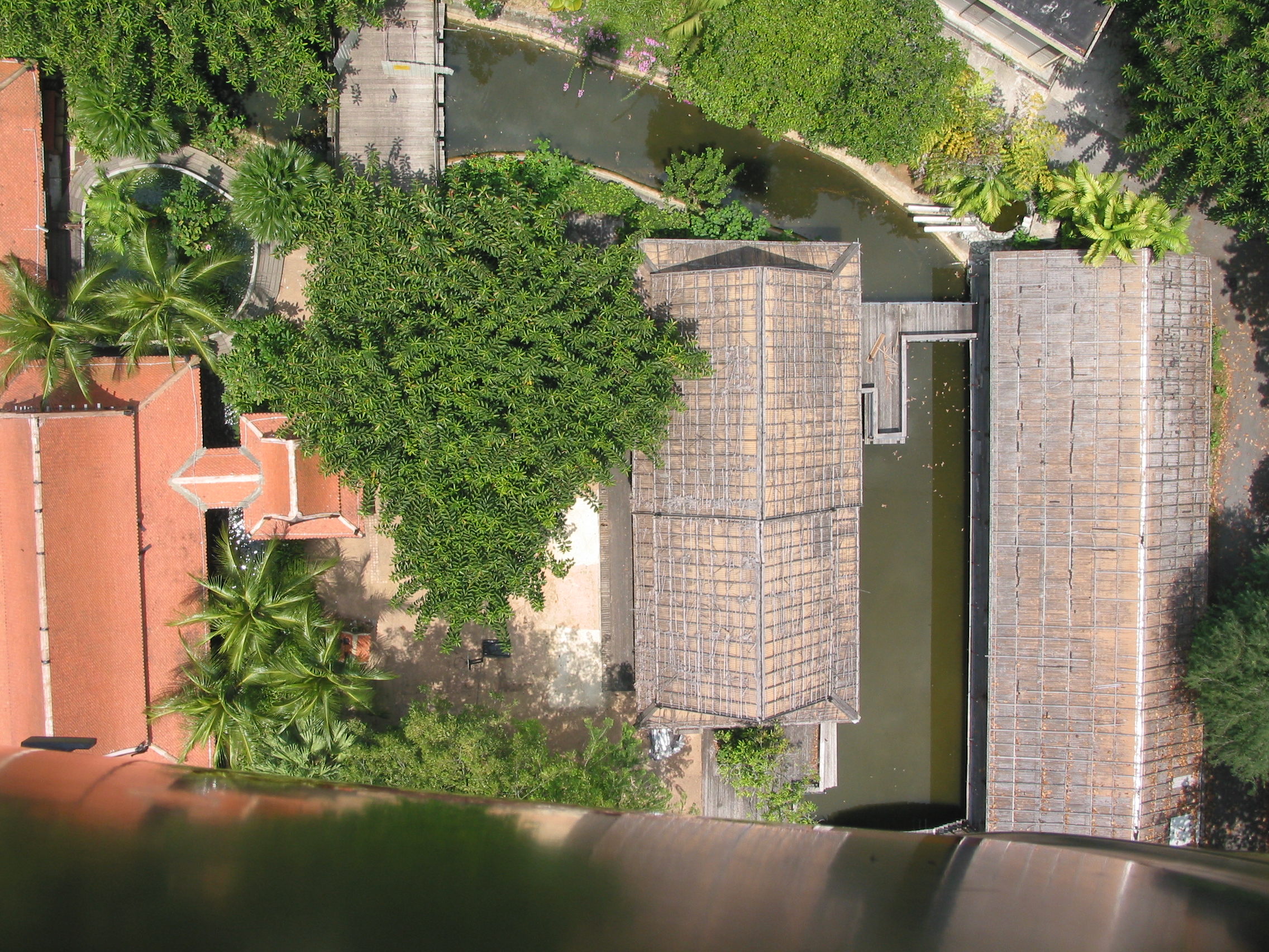 Simosa from the top