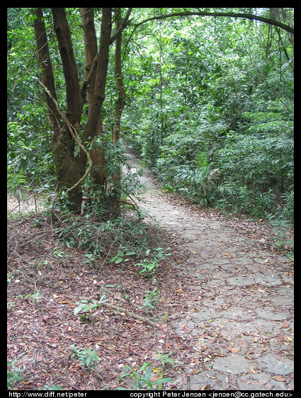 nature walk