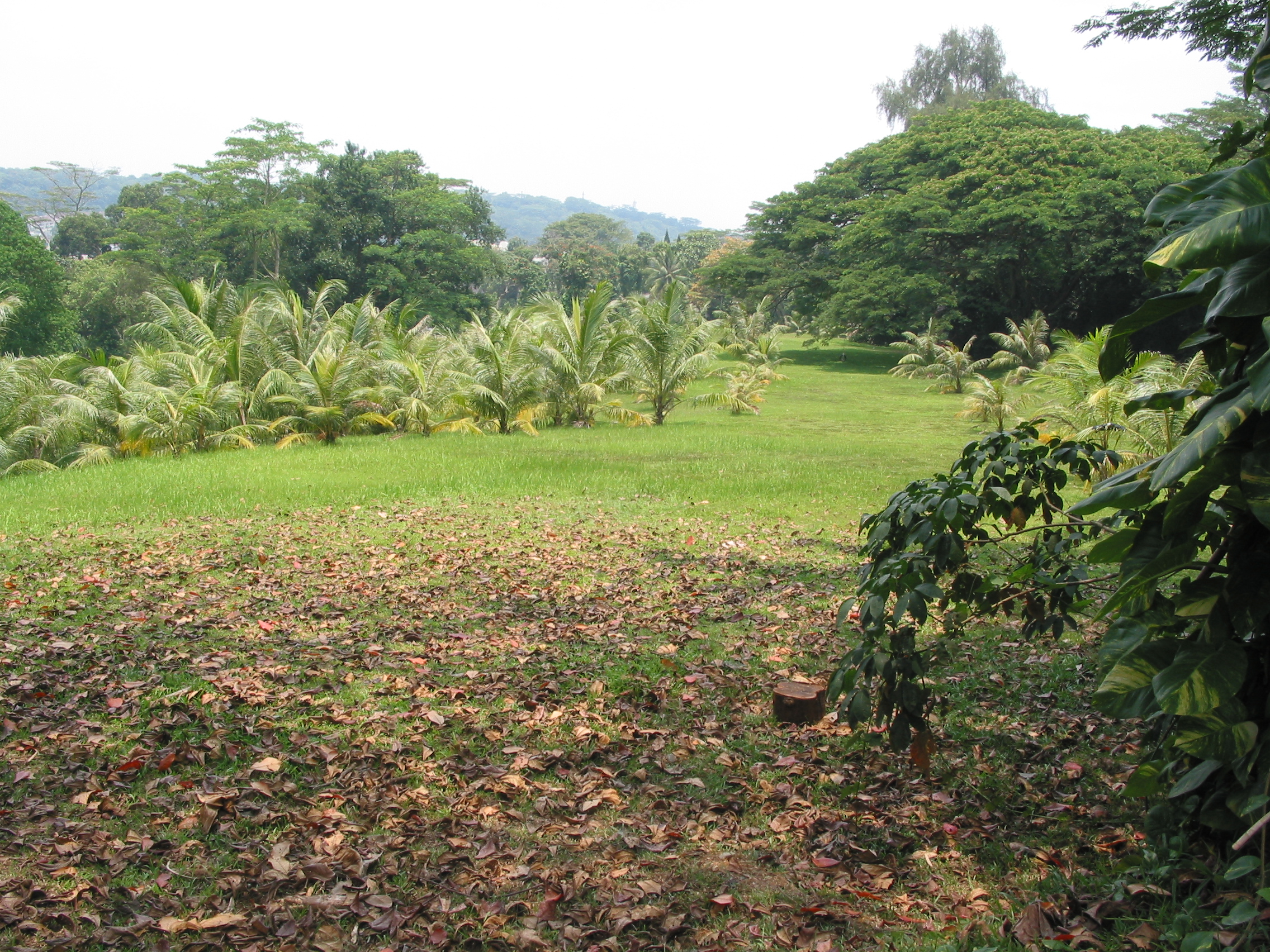 view