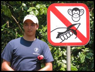 don't feed the monkeys