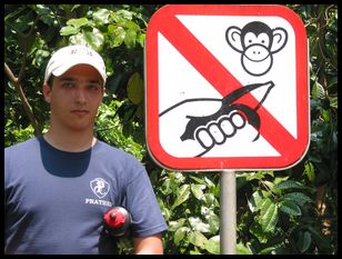 don't feed the monkeys
