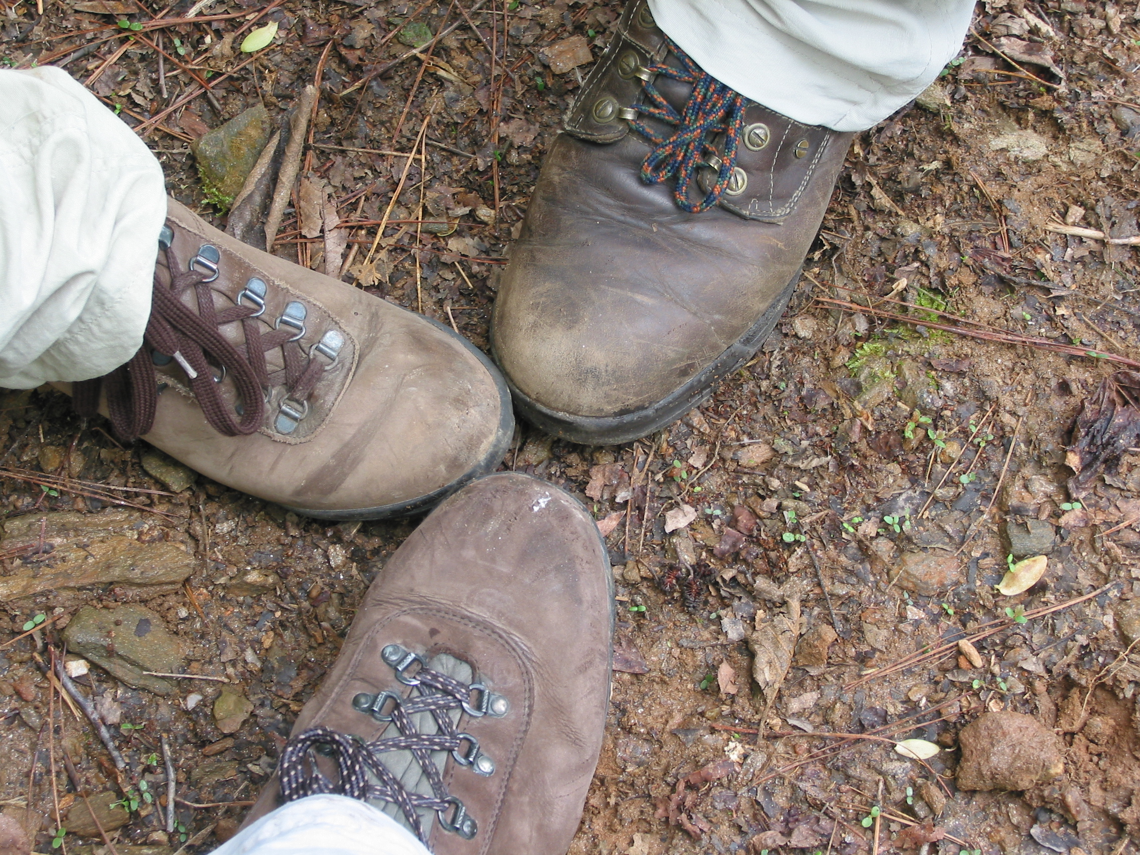 feet