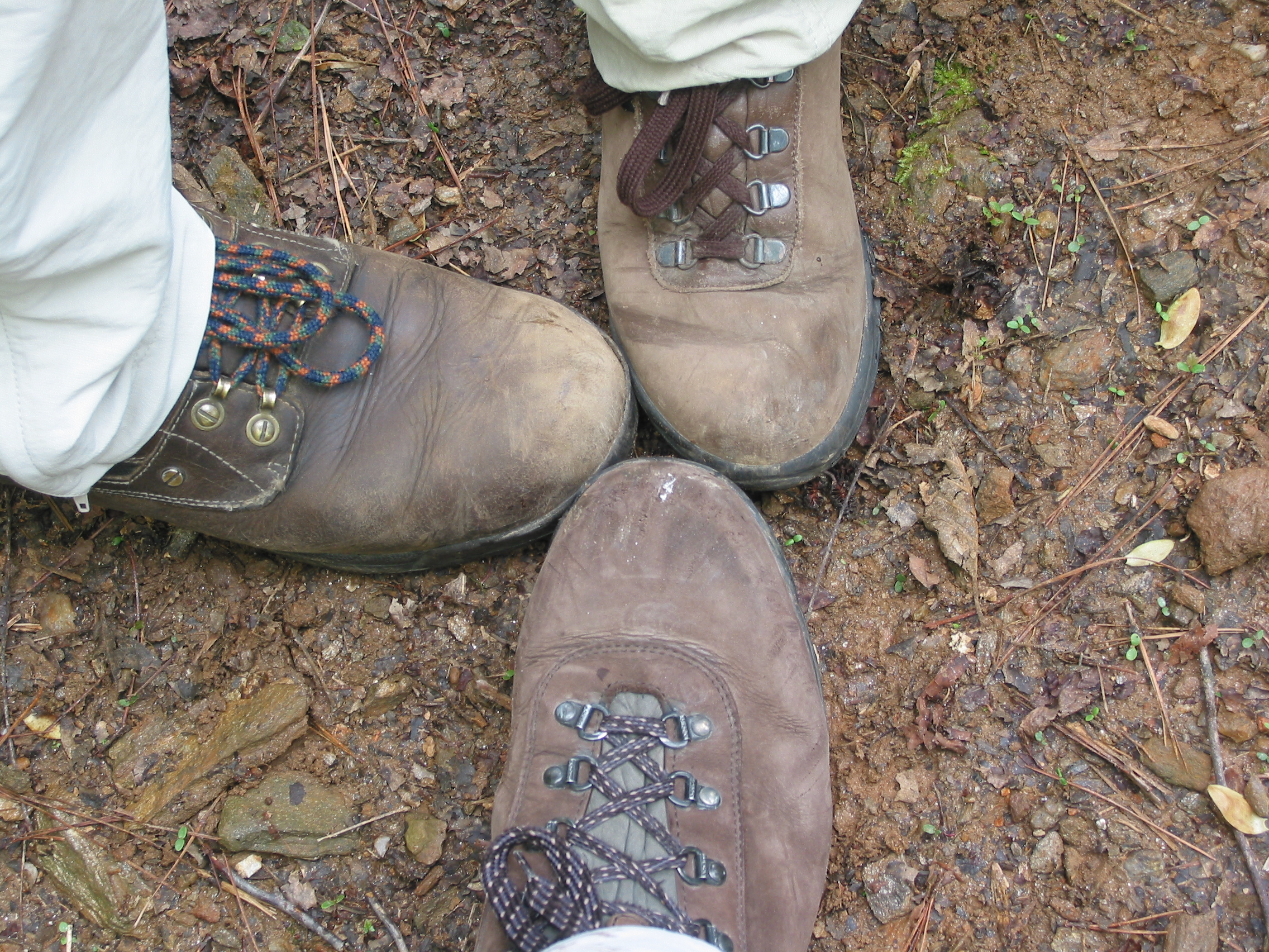 feet