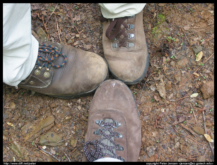 feet