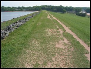 looking east down the levee