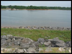 looking N from the levee