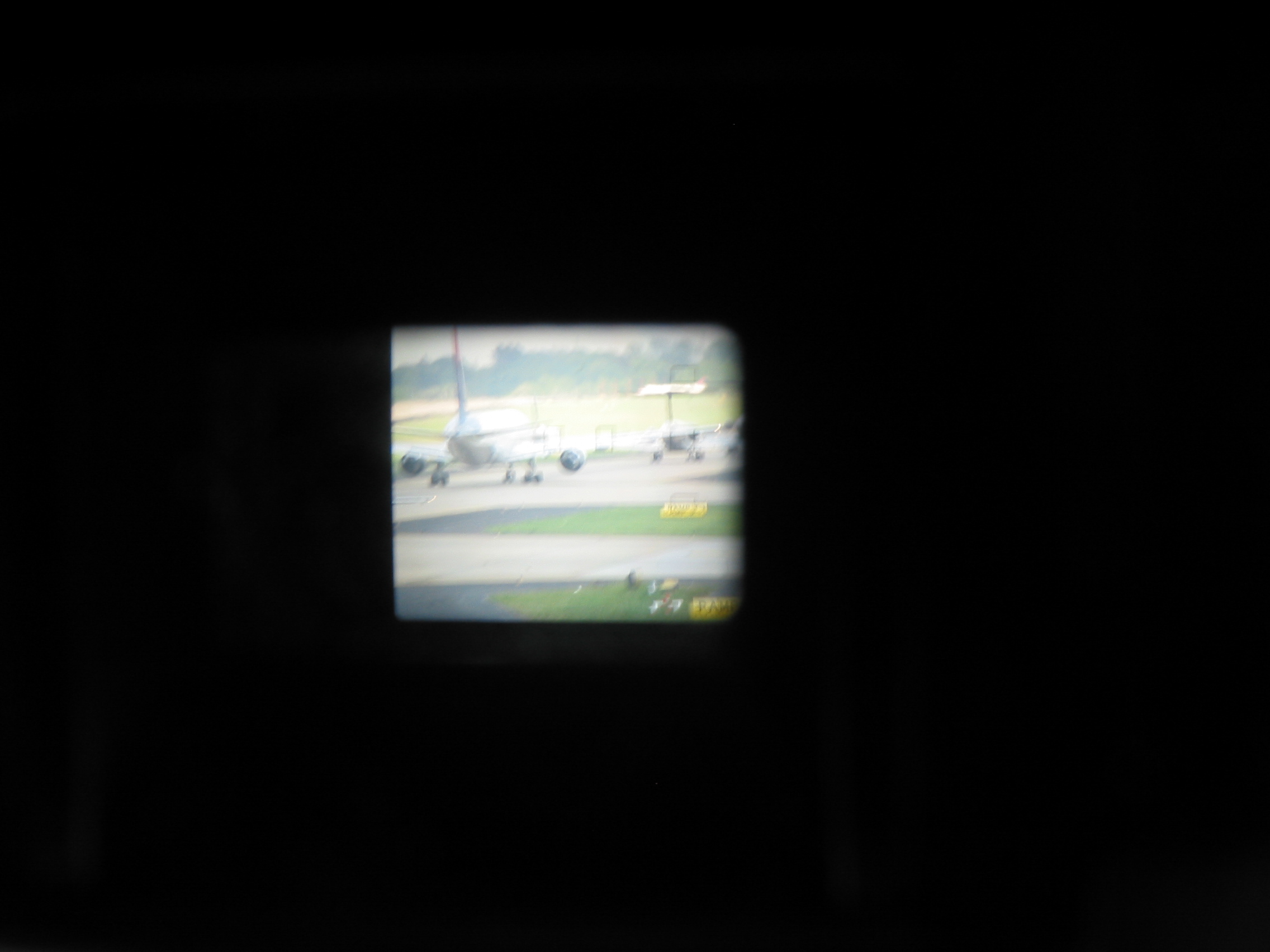 img 4429