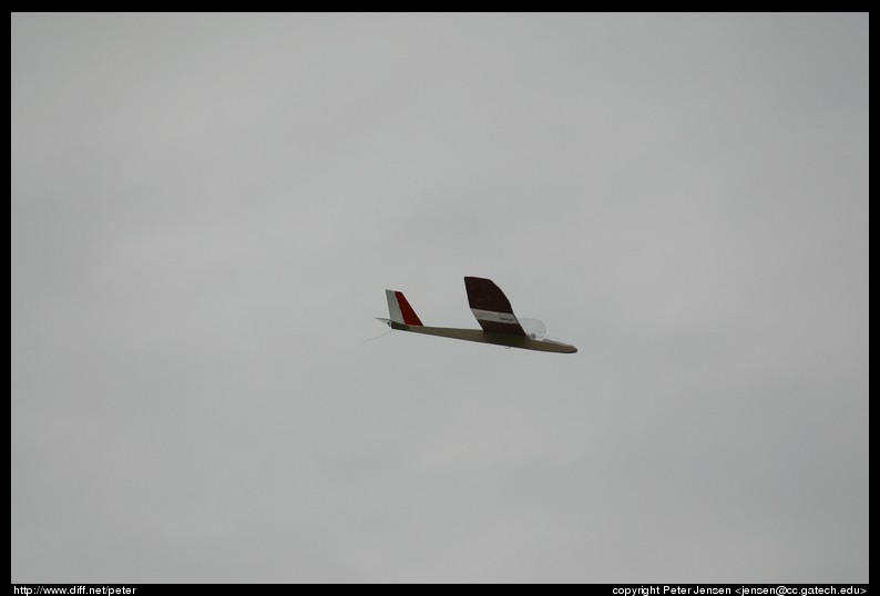flight