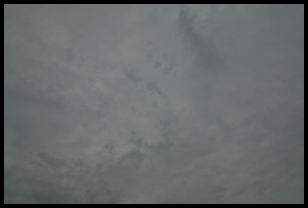 img 0310