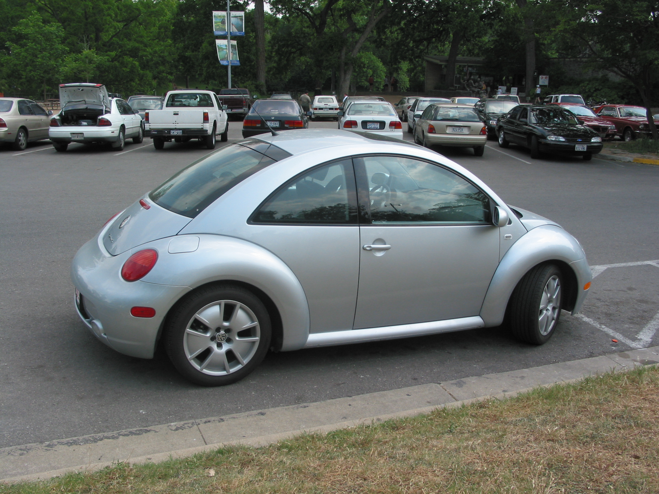 random bug at Zilker