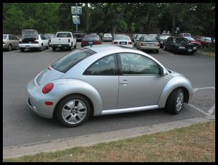 random bug at Zilker