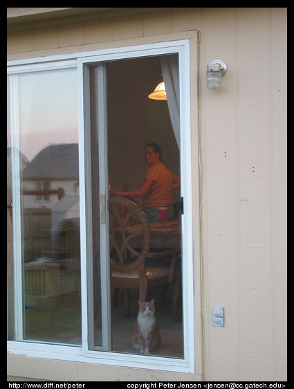 Karen and one of the felines