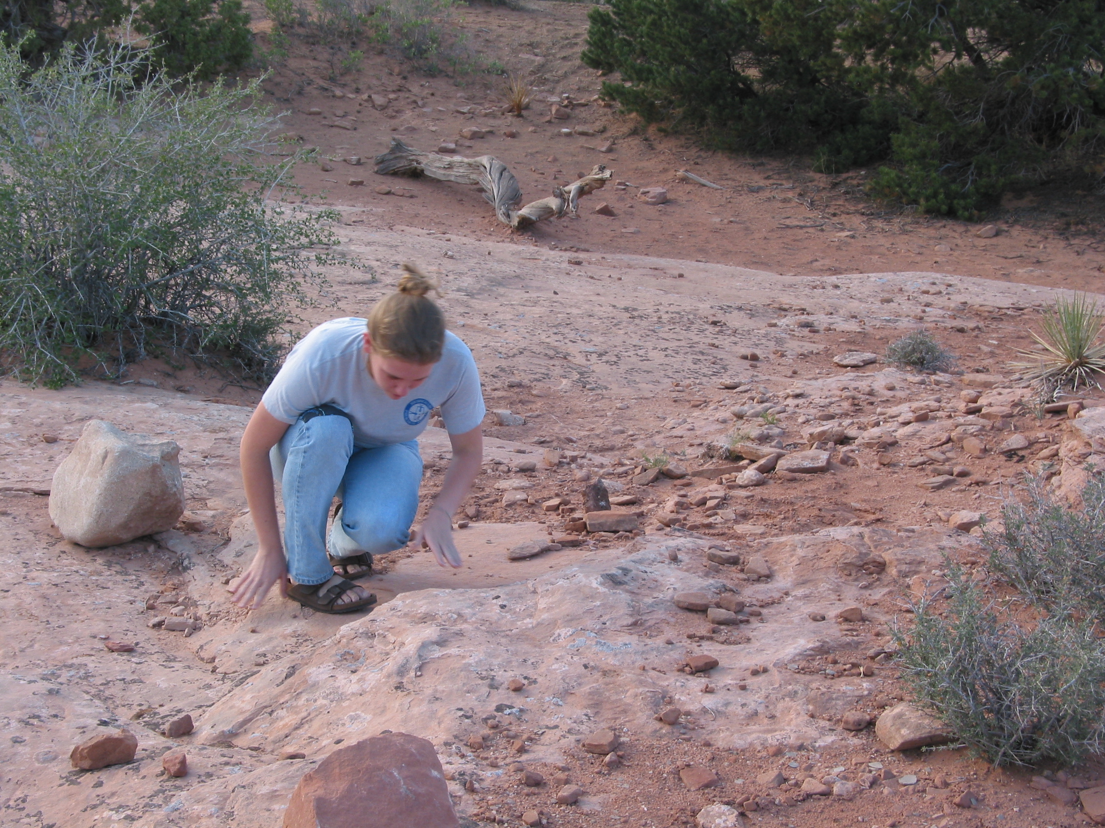 Ana examining rocks