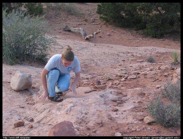 Ana examining rocks