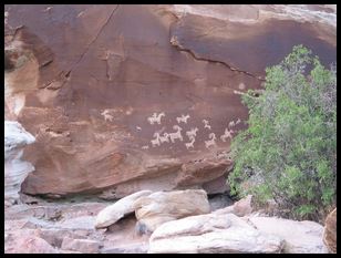 petroglyphs in Arches NP