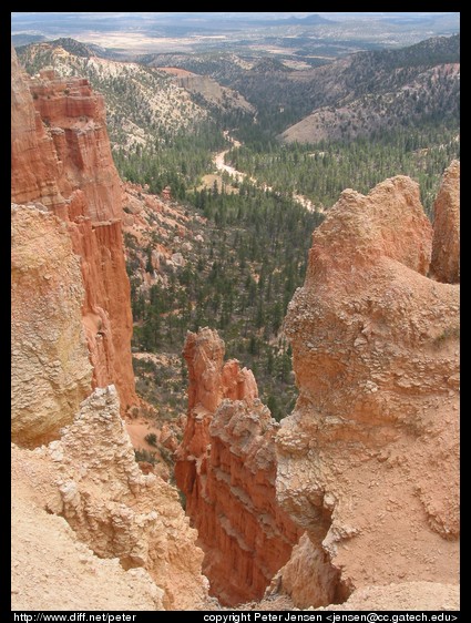 looking down into Bryce Canyon