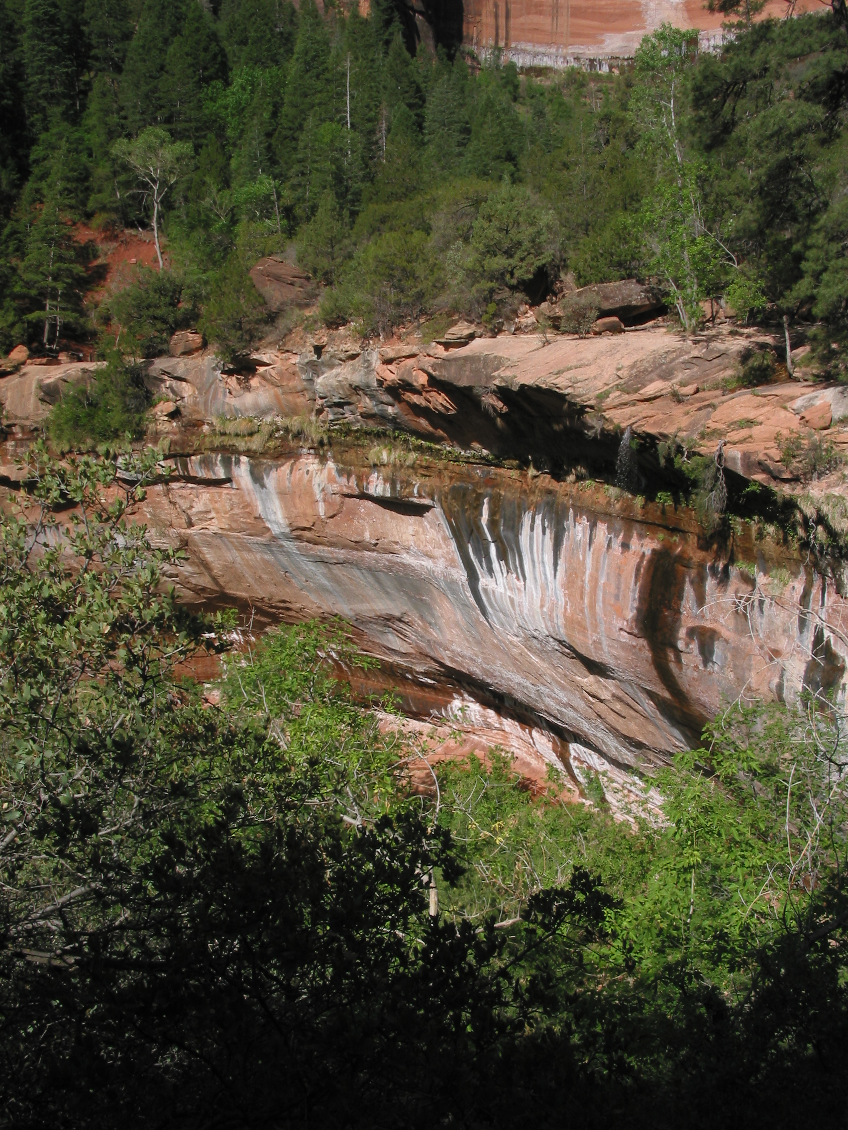 Zion weeping wall