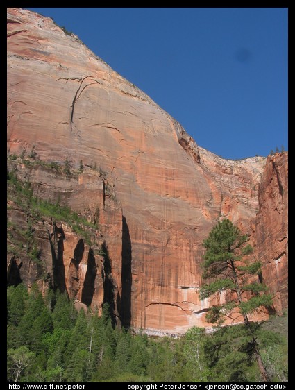 Zion rocks