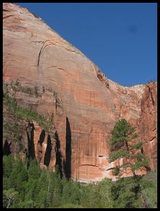 Zion rocks