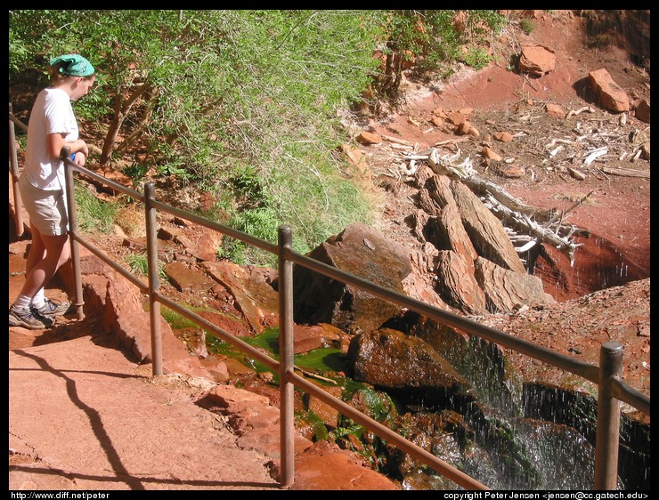 Ana at Zion