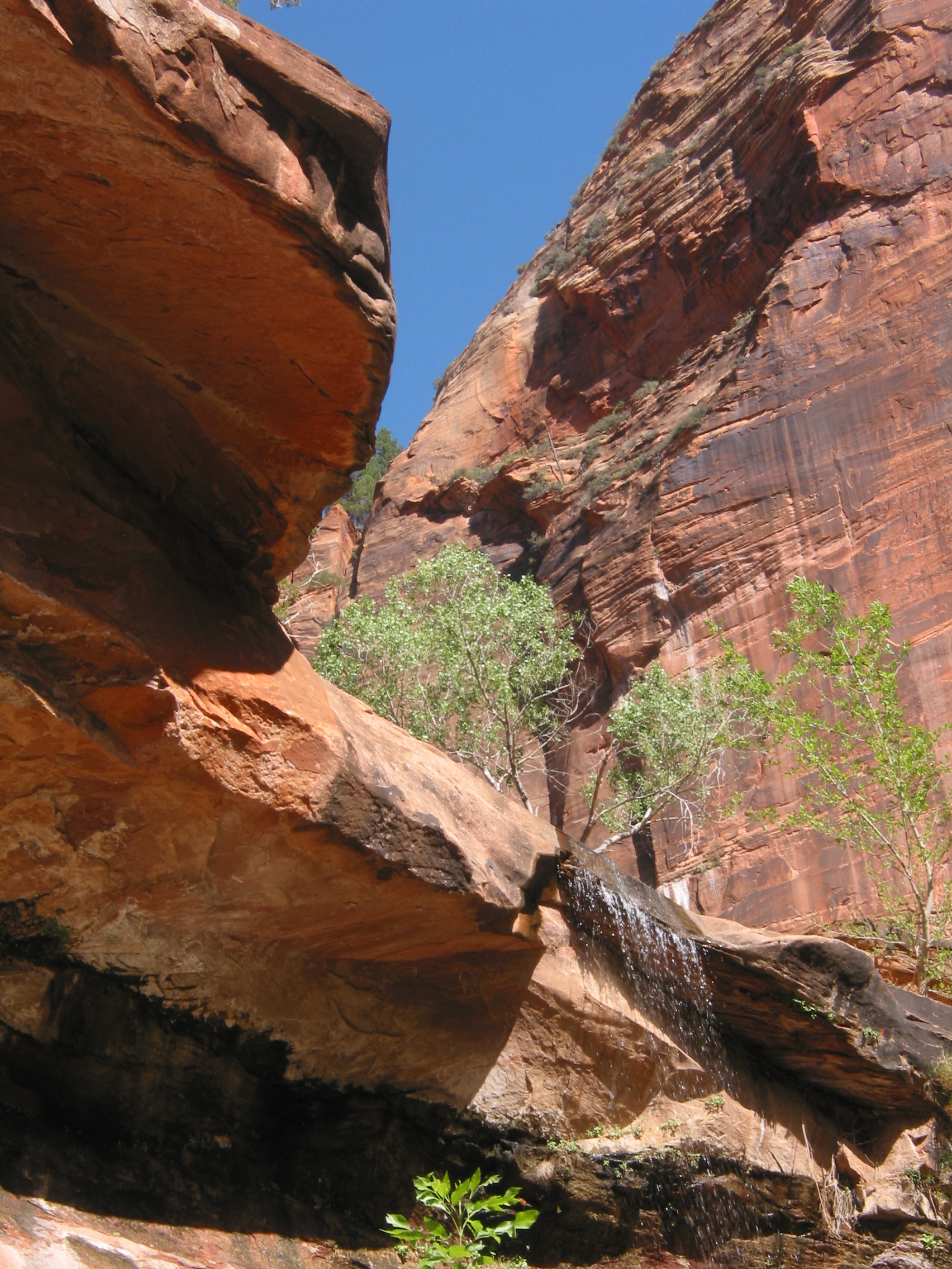 waterfall at Zion