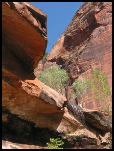 waterfall at Zion