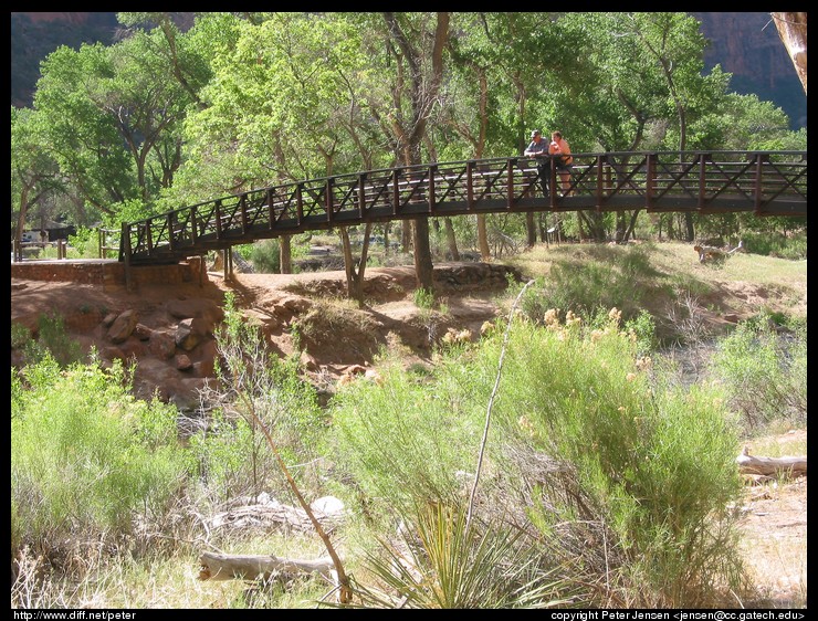 really cool bridge design at Zion NP