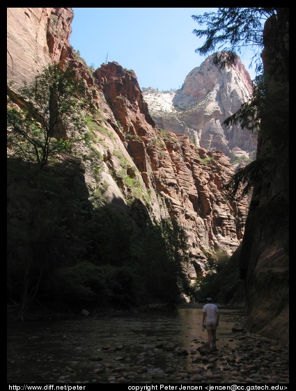 view up-canyon at Zion