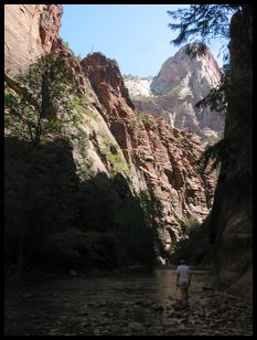 view up-canyon at Zion