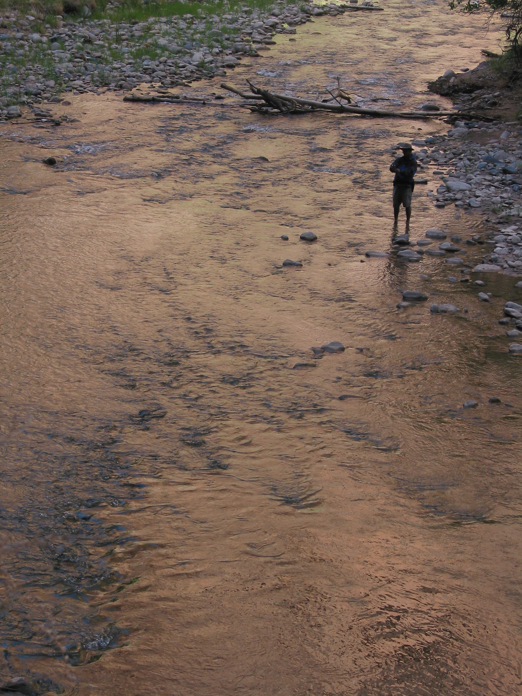 fly fishing in Zion NP