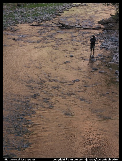 fly fishing in Zion NP