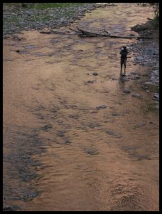 fly fishing in Zion NP