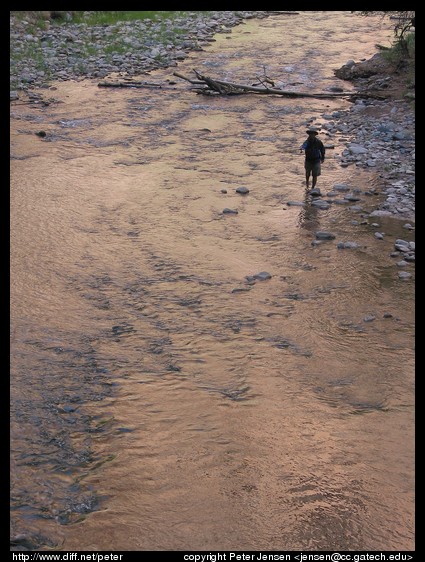 fly fishing in Zion NP