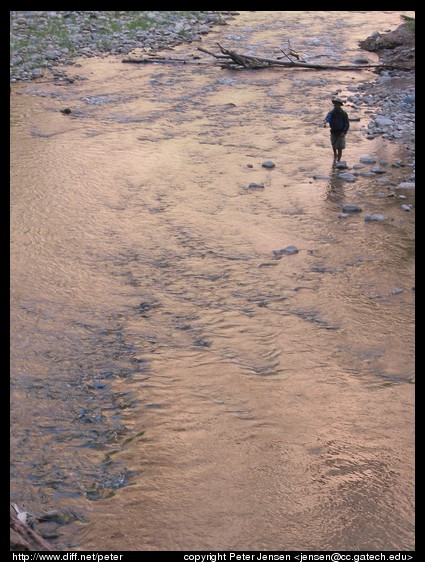 fly fishing in Zion NP