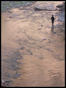 fly fishing in Zion NP