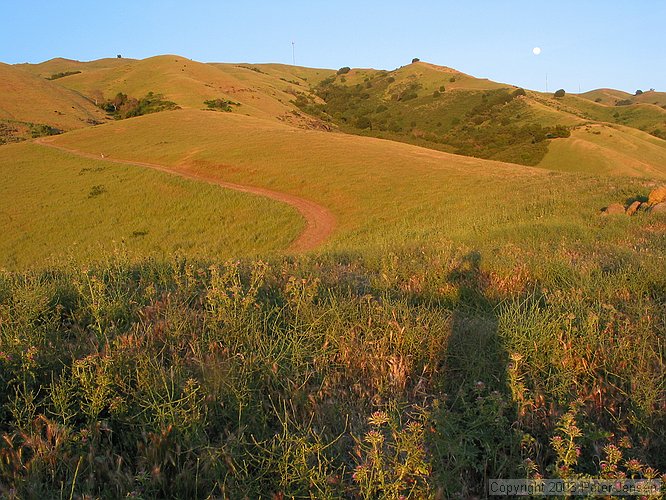 looking uphill