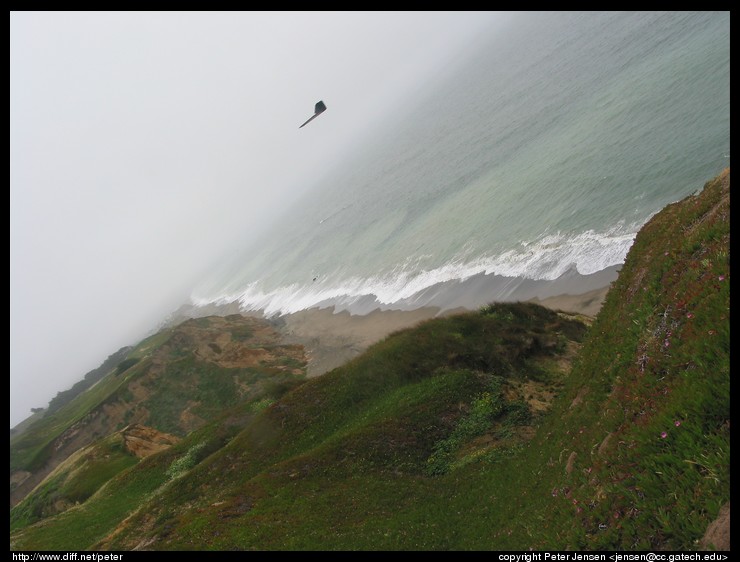 the Zagi THL w/out winglets down the beach (looking S)