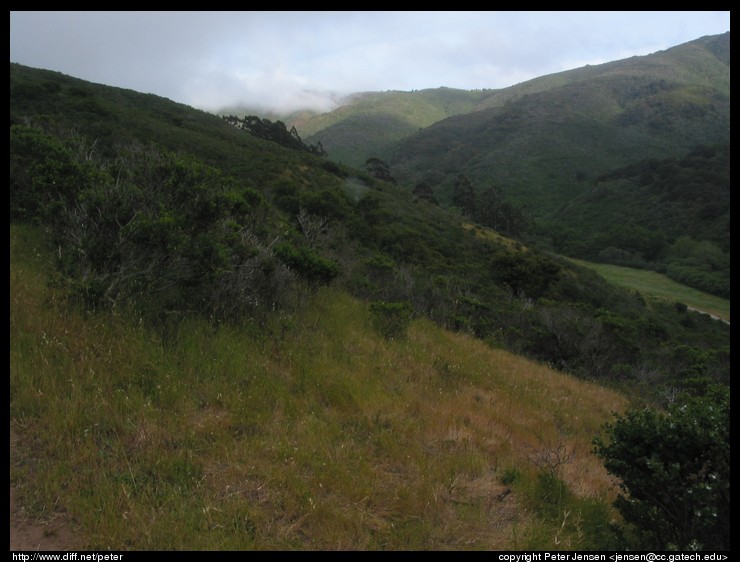 across the valley