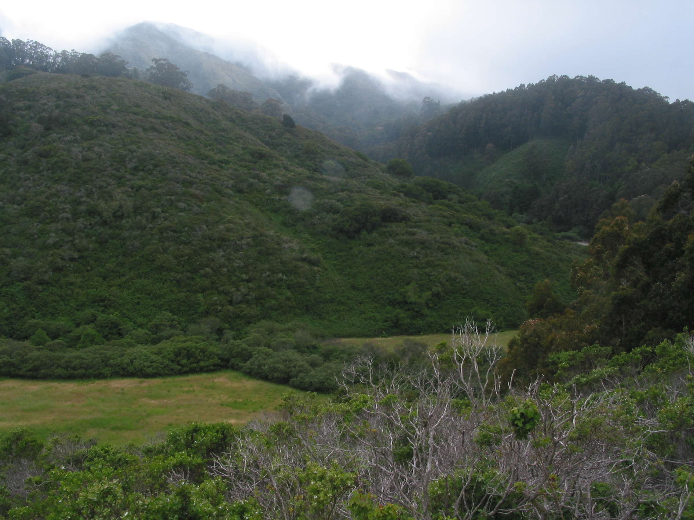 across the valley