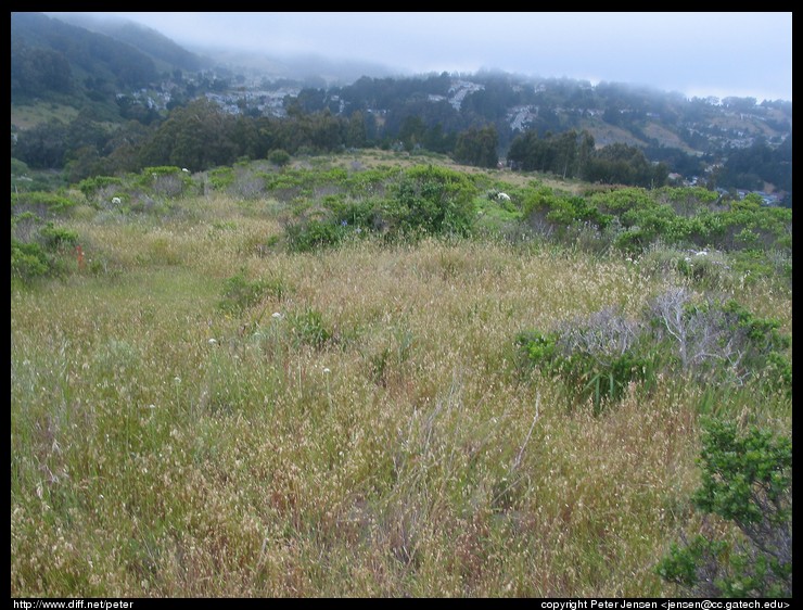across the valley