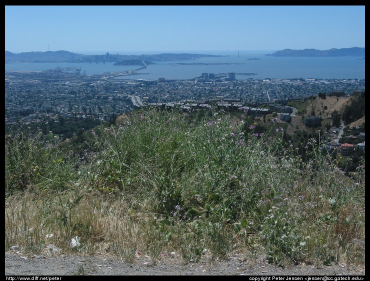 the bay