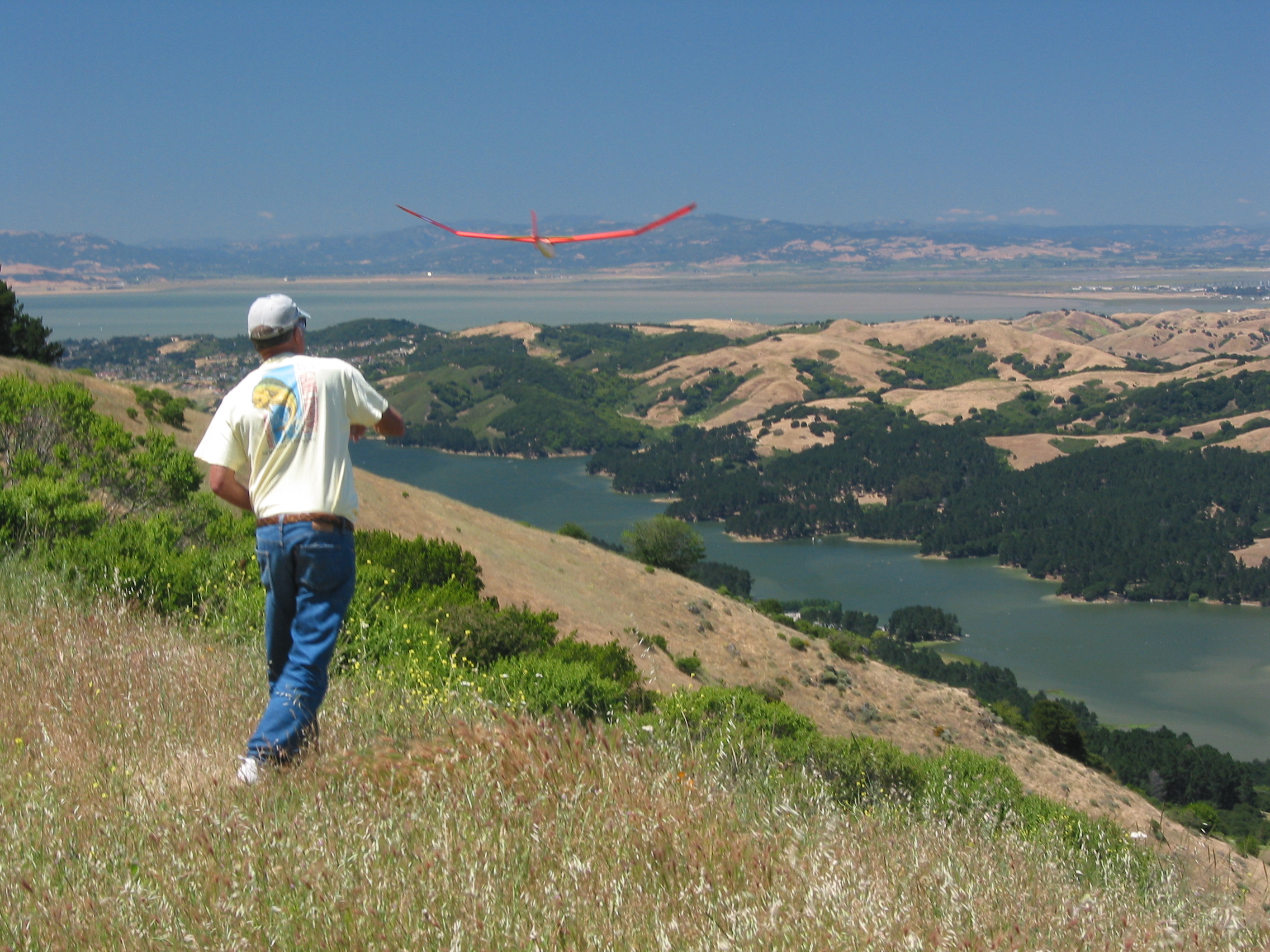 David launching