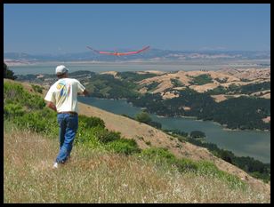 David launching