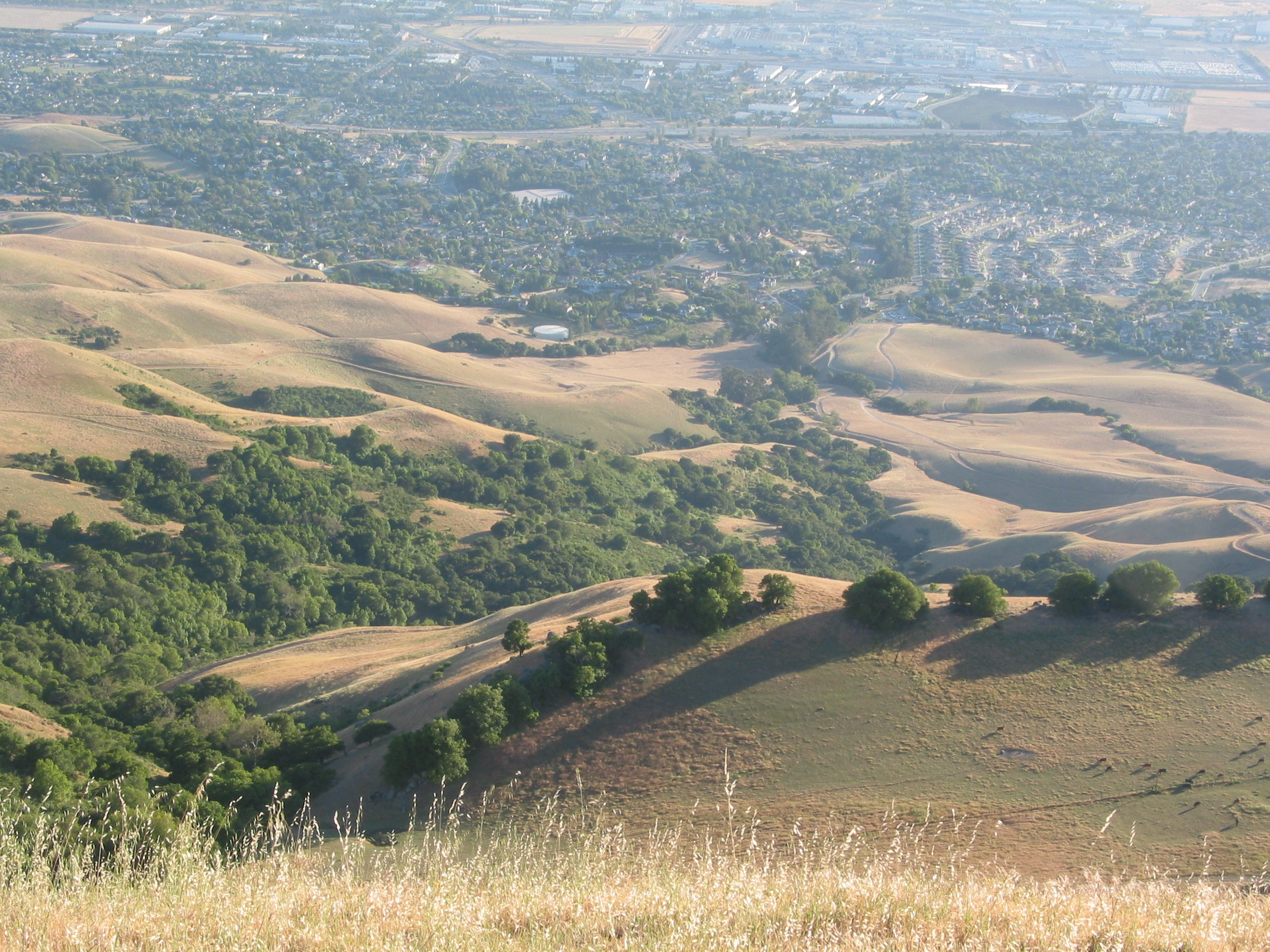lower Mission Ridge park